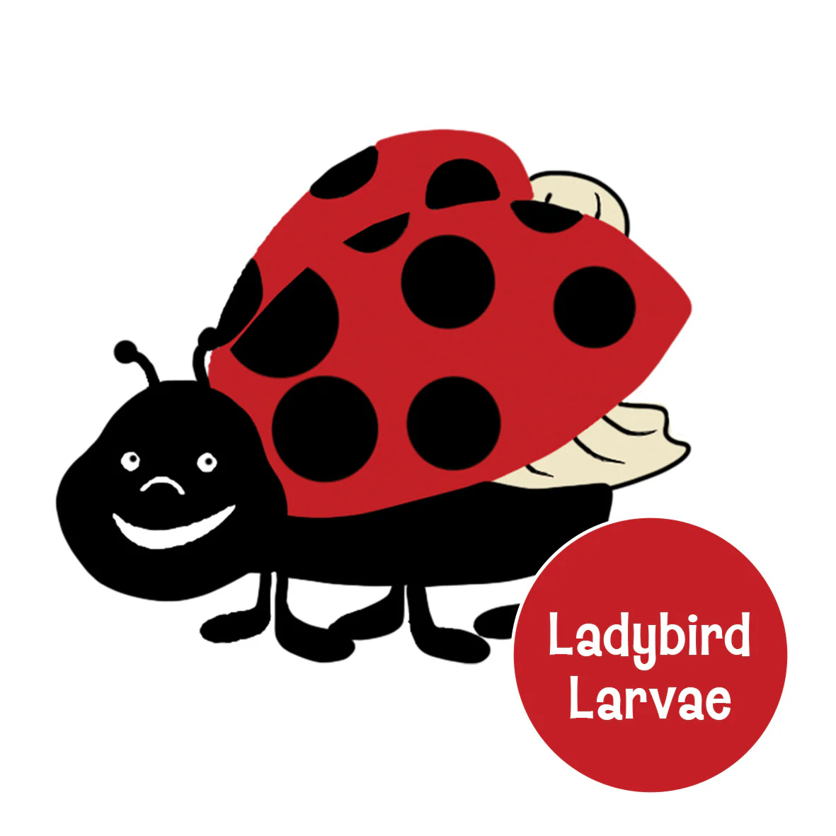 BugLand™ with Ladybird Larvae - Image 3