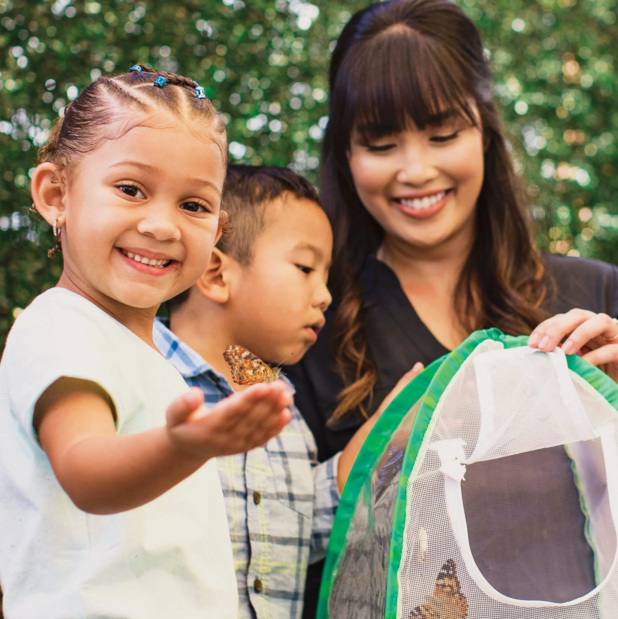Butterfly Garden Home School Edition - Image 4