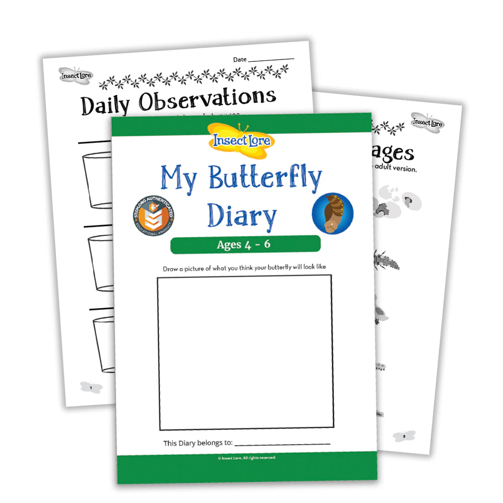 GIANT Butterfly Garden GIFT SET (6-10 Caterpillars) - Image 7